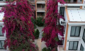 واحدهای آپارتمانی