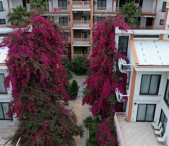 واحدهای آپارتمانی