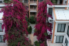 واحدهای آپارتمانی