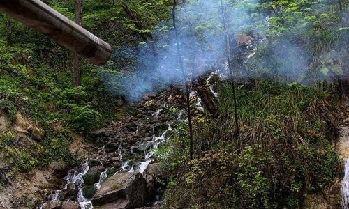 ab-pari-3-p598y9h3p6z7y8vwe3laubl85ovl4kuw2syf0vyf94