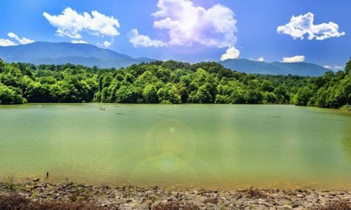 alimalat-1-p598rrfafg2tncbvcsf73gng8qx6vy1q6miiizlgag