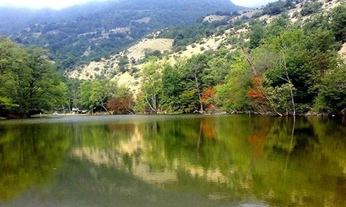 alimalat-2-p598rtayt45eak951t8g8g6dfinxbc96uvthhjiny0