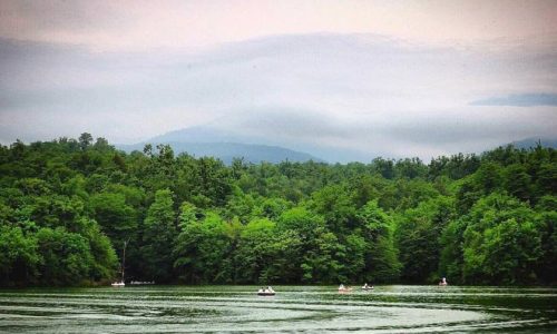 alimalat-p598ru8szy6om67rwbn2sxxu0wjaj1cx70gyyth9rs