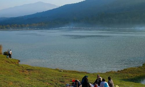 avidar-2-p599wlivcbza1h0gwfvpf5odbdn9ak5x4qtx3r1pyw