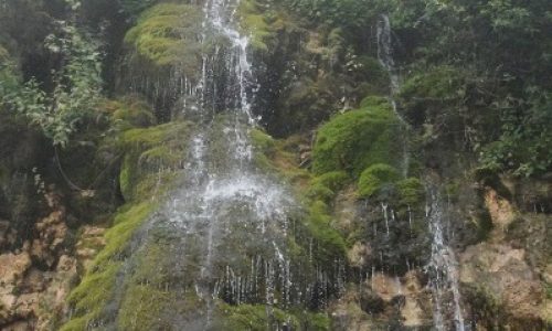 haram-ow-2-p599693pshwymxa3qjx51b09xlhwjykr6ckzvk3yd4