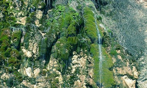 haram-ow-p5996aze65zja57dfkqe6aj74d8mzcs7ulvyu4160o