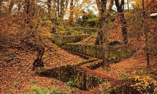 kashpel-p598gwefgd7jhk3us3eea7bp4gghxuxe0v4ivvp86w