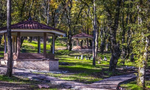 kashpel2-p598h05s7pcorzye650wk6djhzxysncbddqgszjni0