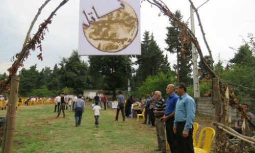 netel-1-p598nrlzdslyb04rok99zyxxcsm1696smup83nioqg