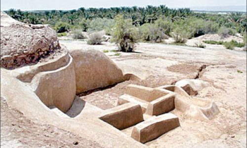 netel-p598nsjtkmn8mm3ej2nwkgpdy6hedyaiyzcpkxhak8