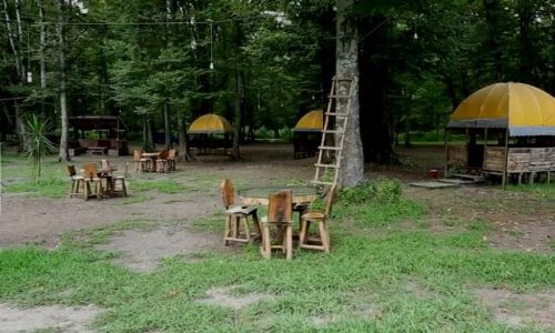 noor-p598dy6o03651me50bhjyg4lzx00s27py9ennm2pq0