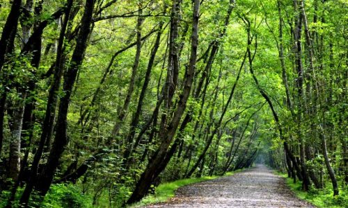 noor1-p598e02cdr8poubepcat3fnj6oqr7gf6mipmm5zxdk