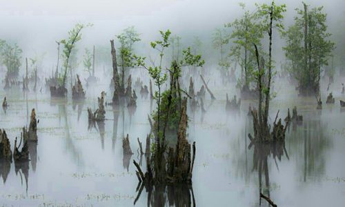 poolad-3-p599a1ebbh3jeds4mou1kum42gu4k2lu136egohvaw